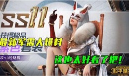 近期军需爆料最新消息视频,军需爆料视频深度解析